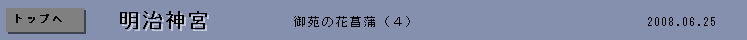azisai004001.jpg